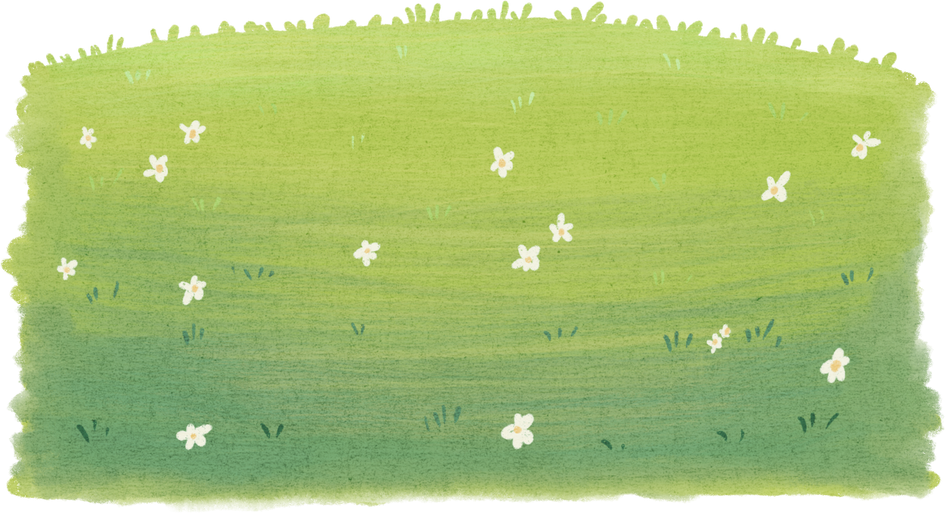 Grass Watercolor Illustration